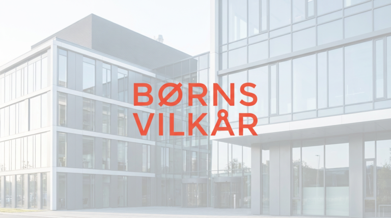 Børns Vilkår kundecase